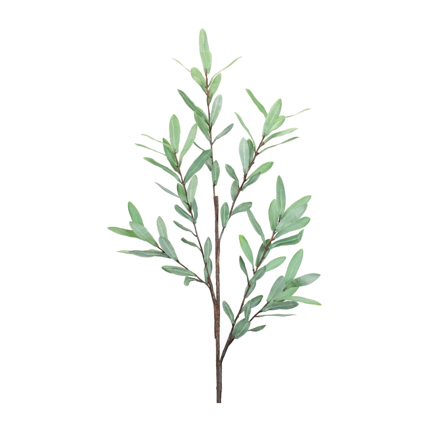 Melrose International Olive Leaf Twig Branch (Set of 2)