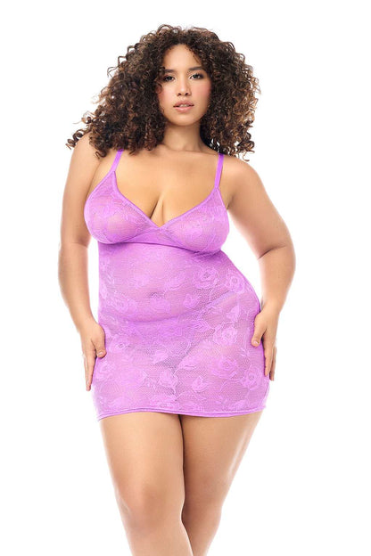 Wild Orchid-