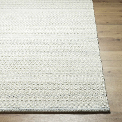 Kendi Light Slate Area Rug