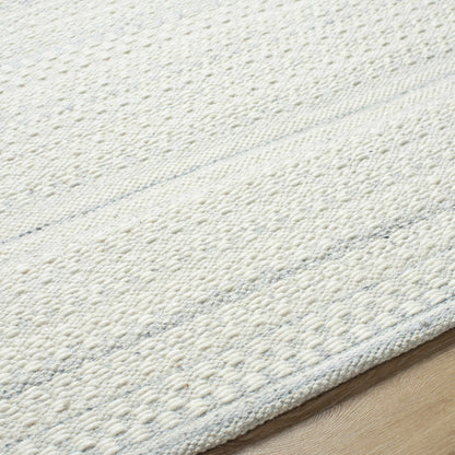 Kendi Light Slate Area Rug