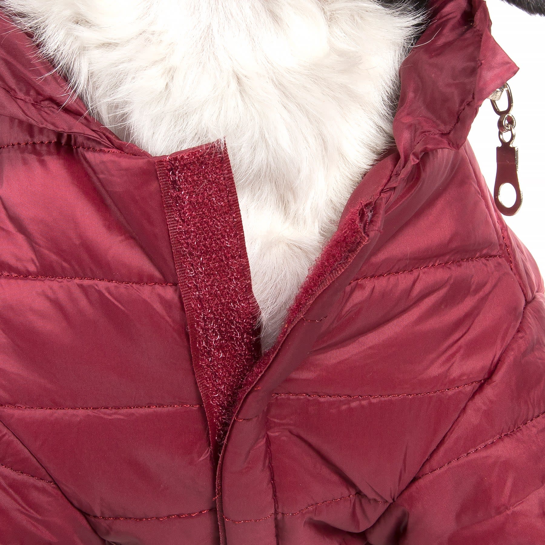 Burgundy Red-