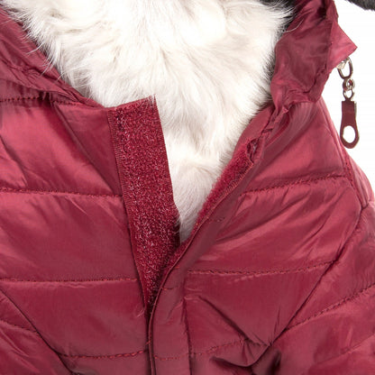 Burgundy Red-