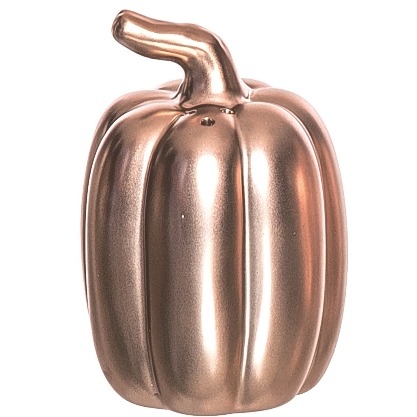 Dolomite Gold Harvest Metallic Pumpkins Salt and Pepper Shakers Set of 2 for Fall Decor