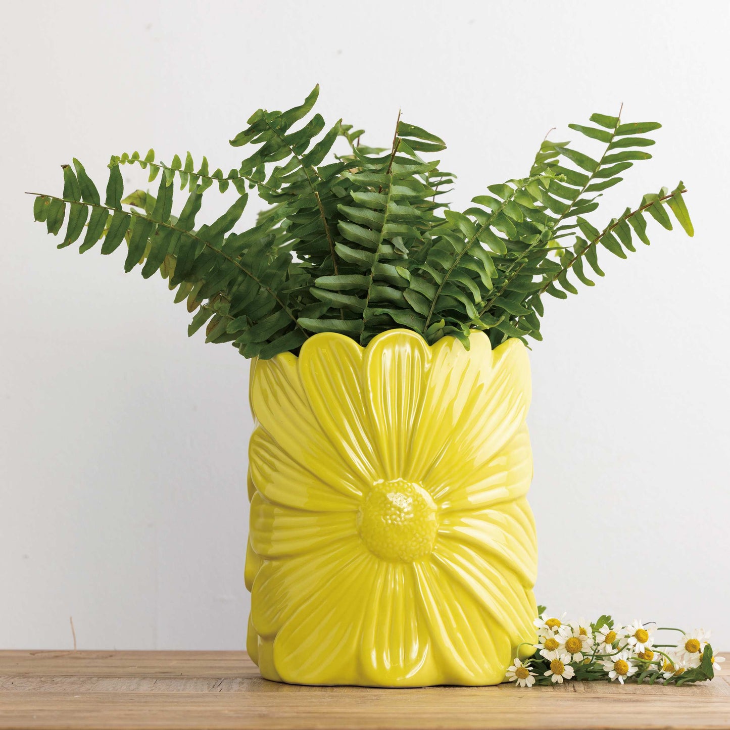 Dolomite Daisy Planter Yellow for Spring Garden Decor