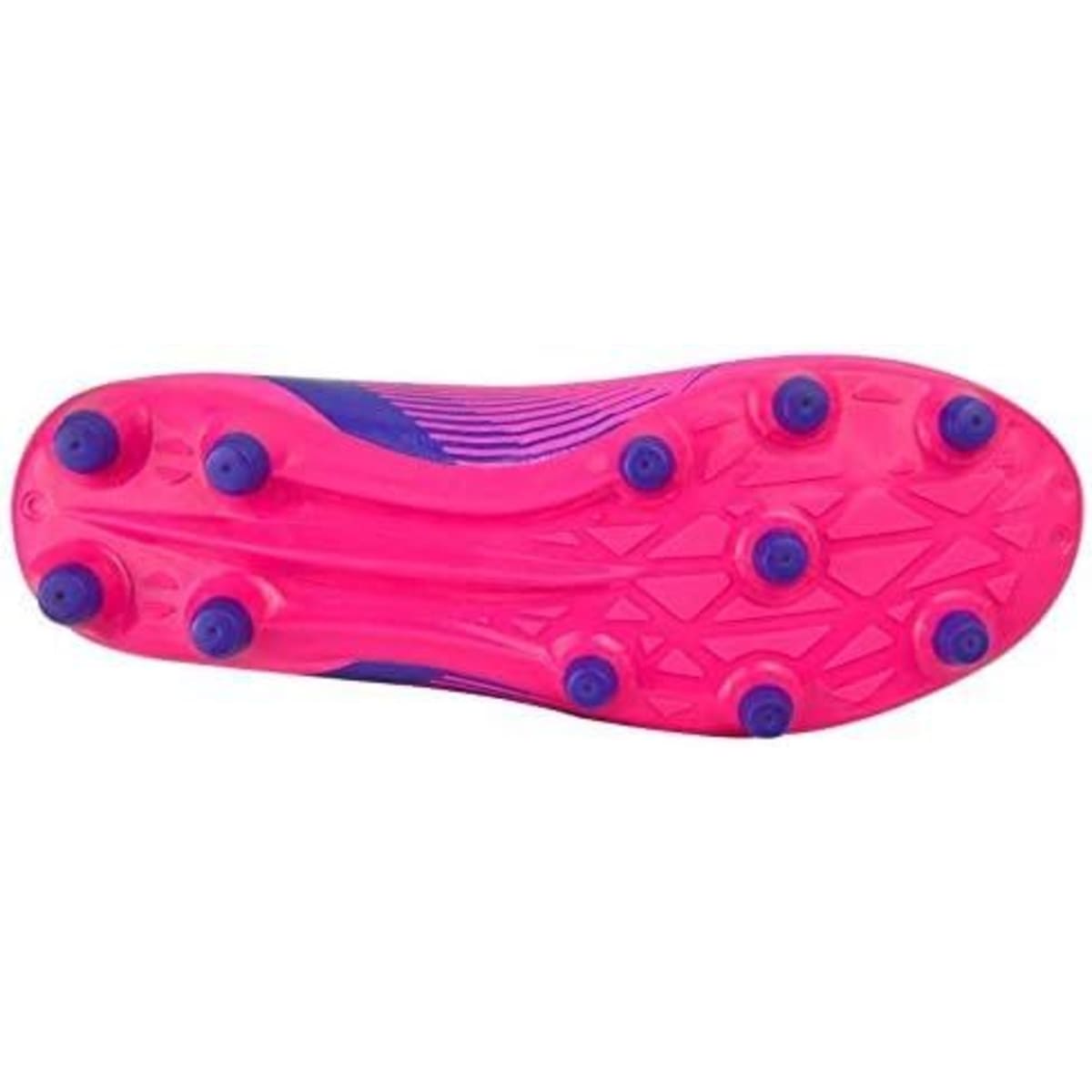 Pink Purple-