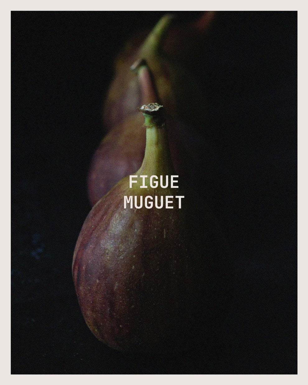 Figue Muguet Candle-