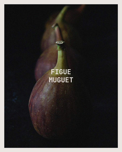 Figue Muguet Candle-