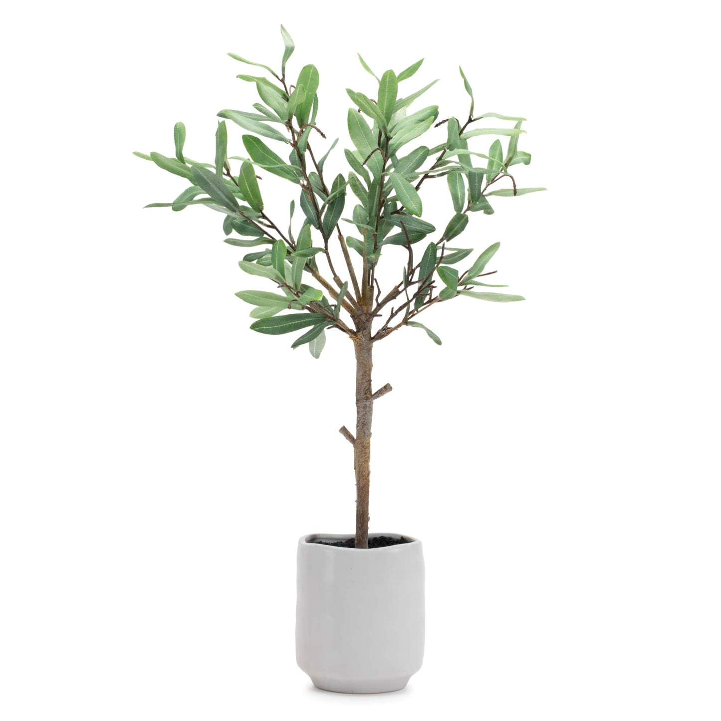 Melrose International Potted Olive Leaf Topiary 21.5"H