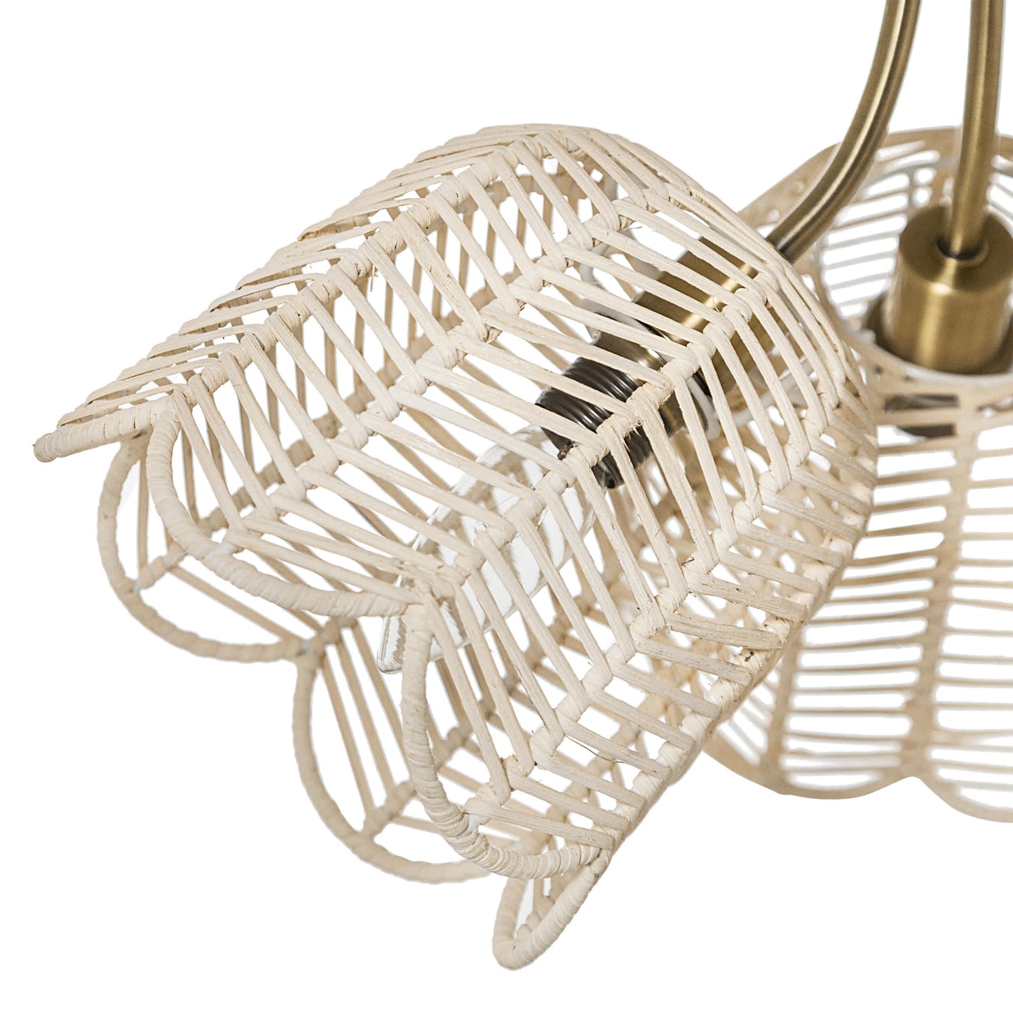 White/Gold-