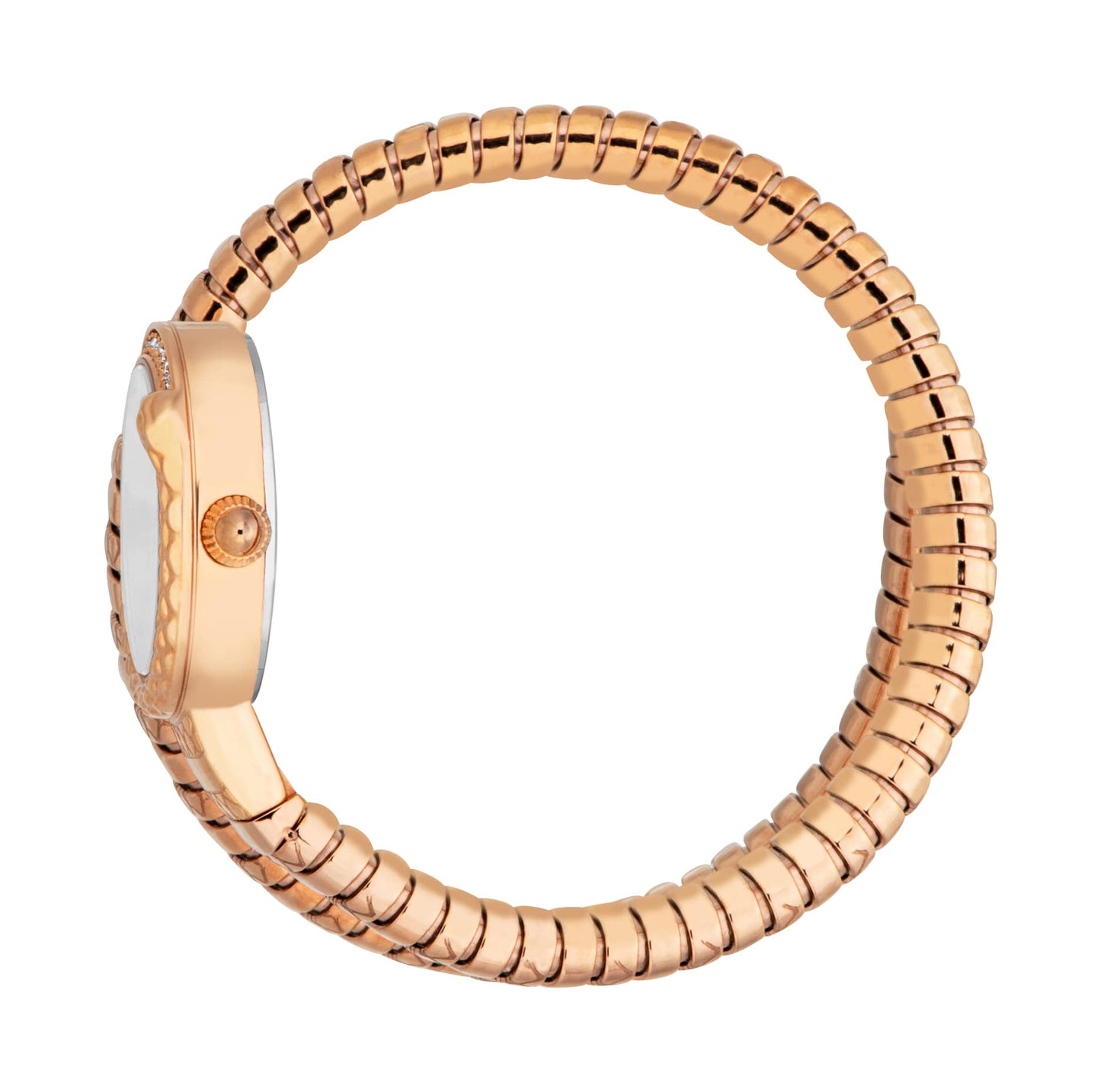 Jc1l301m0045 Just Cavalli Cerchio Snake Women’s Rose Gold Snake Watch with Silver Dial