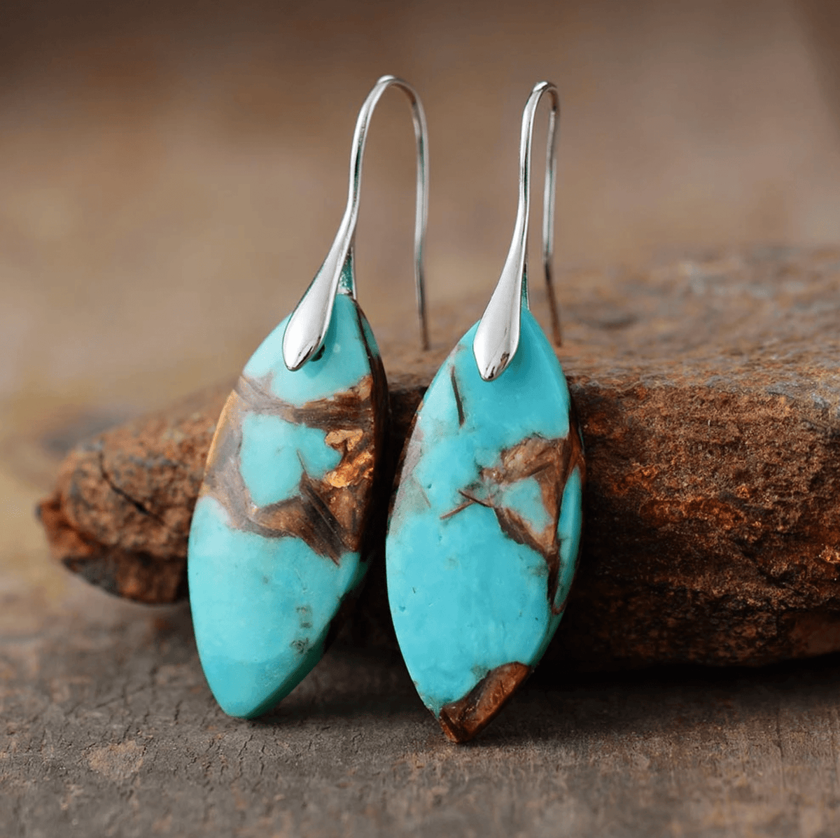 Brown / Silver-