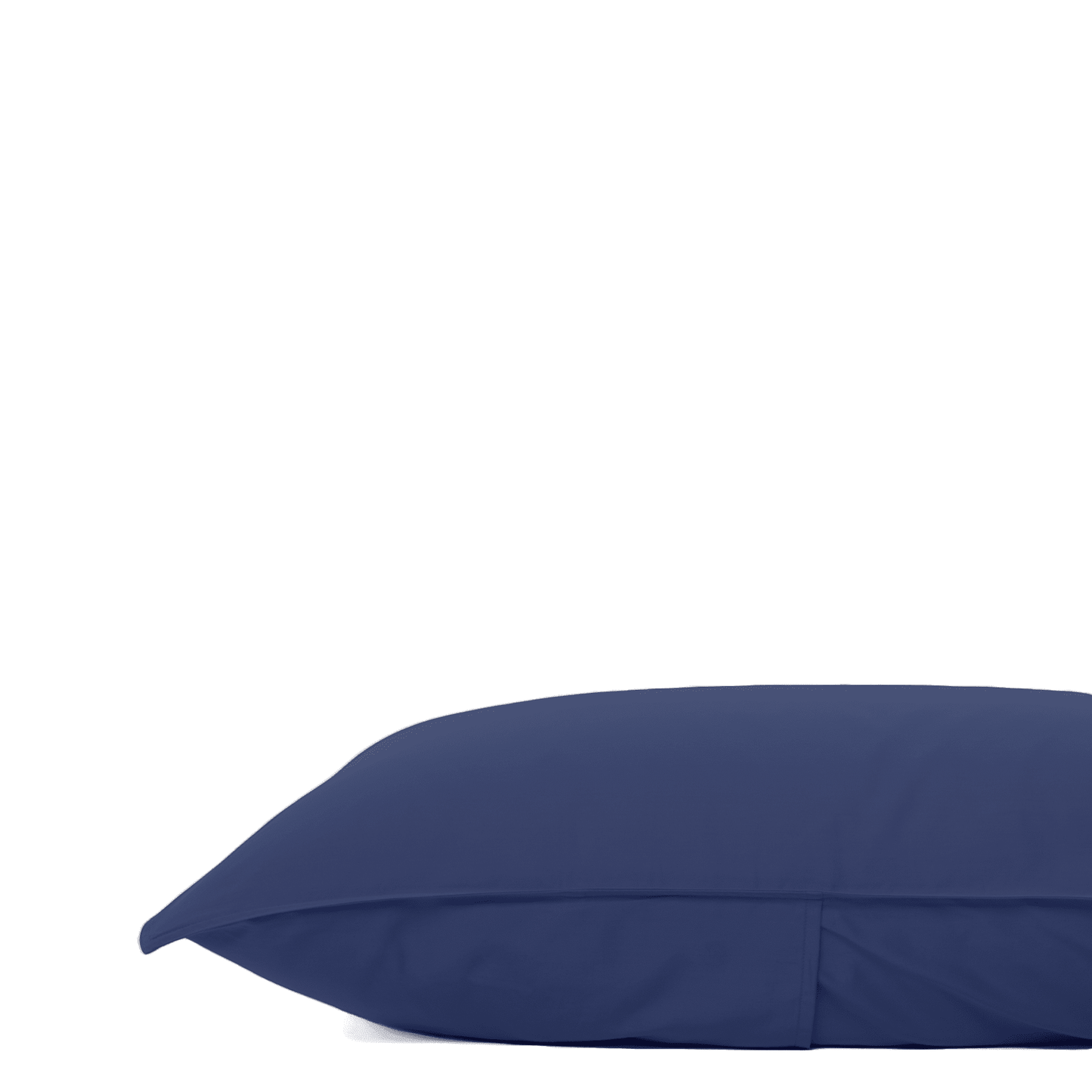 Whale-