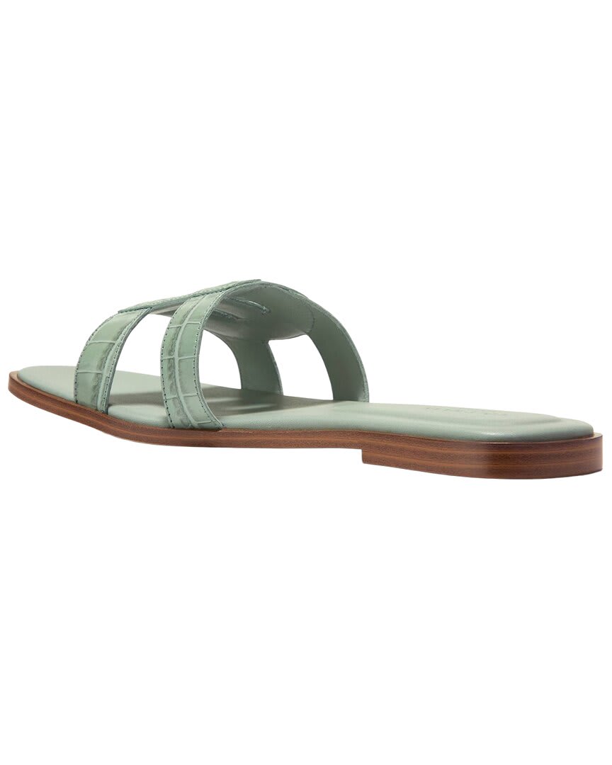 LILY PAD CROC PRNT-