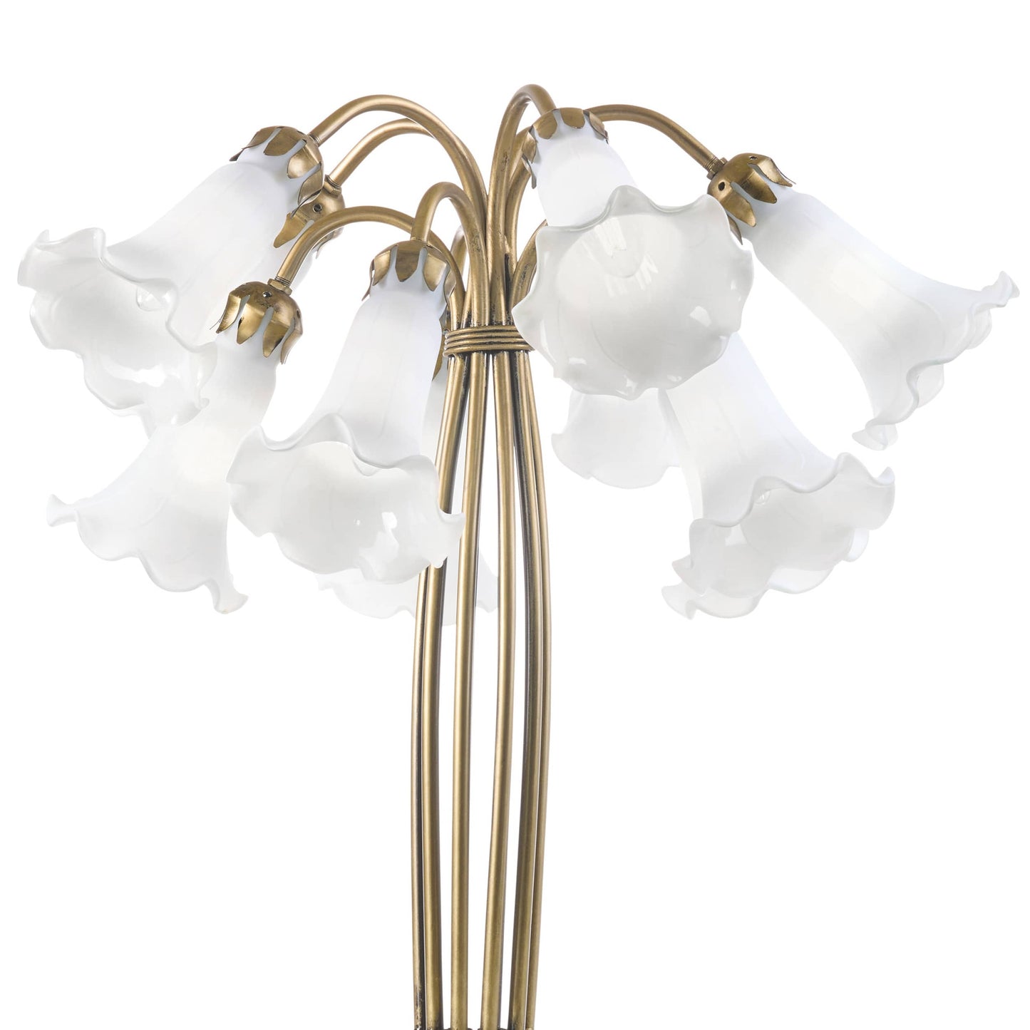 White/ Antique Brass-
