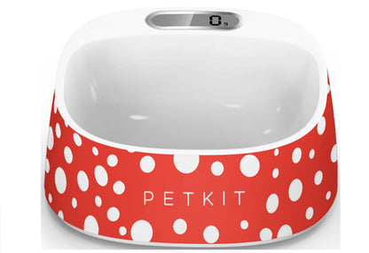 Red / White-