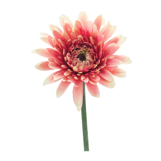 Melrose International Gerbera Daisy Floral Stem (Set of 6)