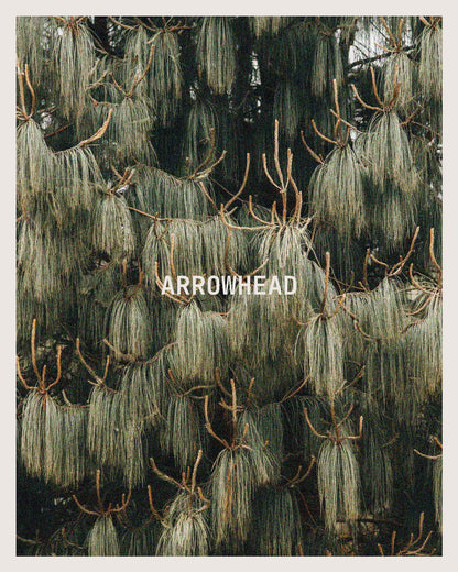 Arrowhead Candle-
