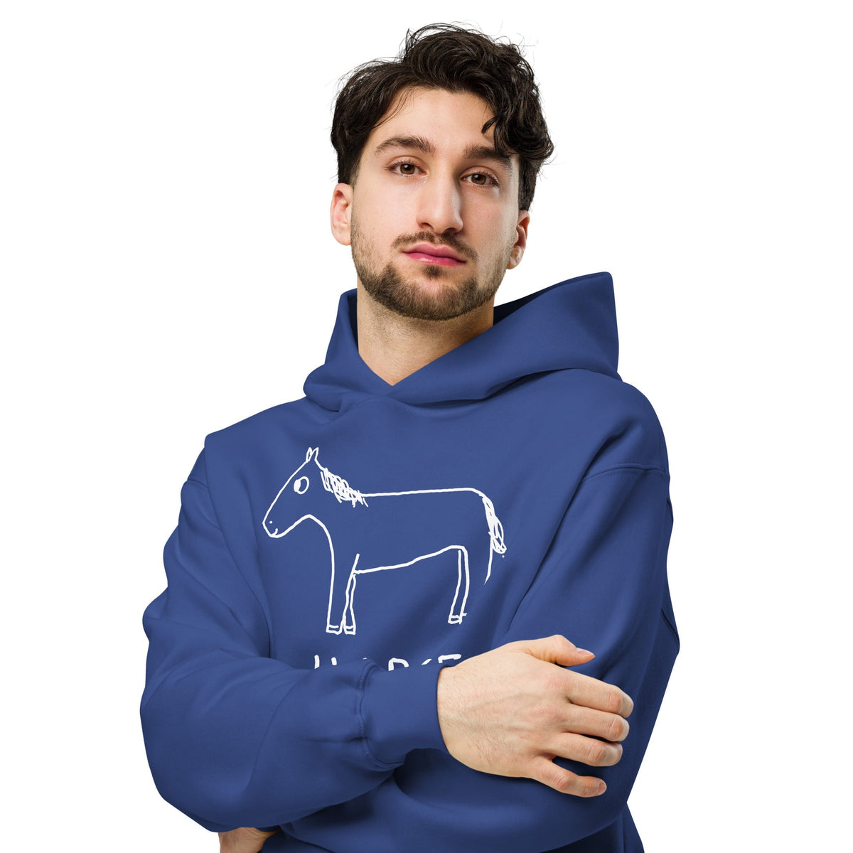 Fall Collection - Horse - Premium Hoodie