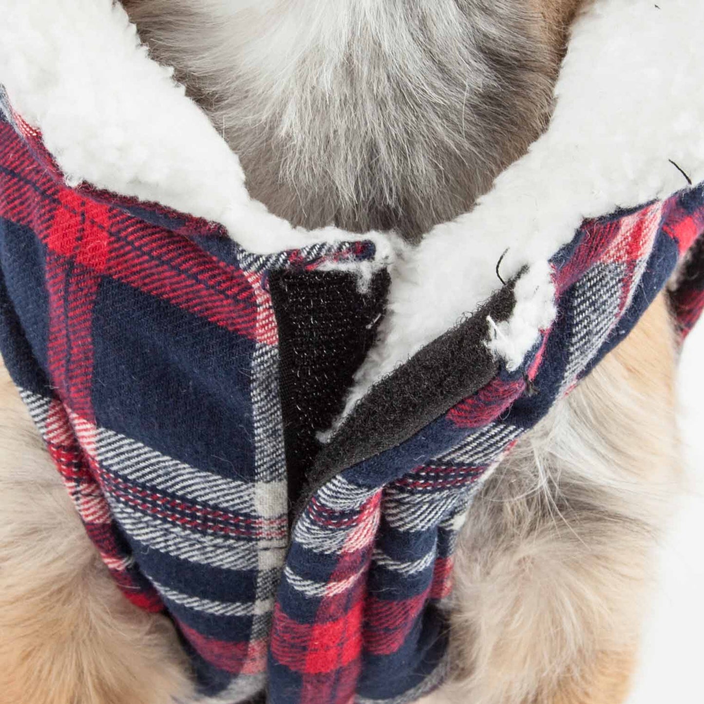 Black And Red Plaid-