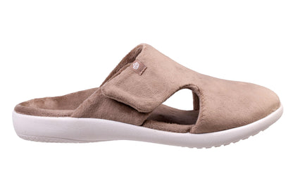 Clay-