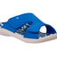 BLUE LEOPARD