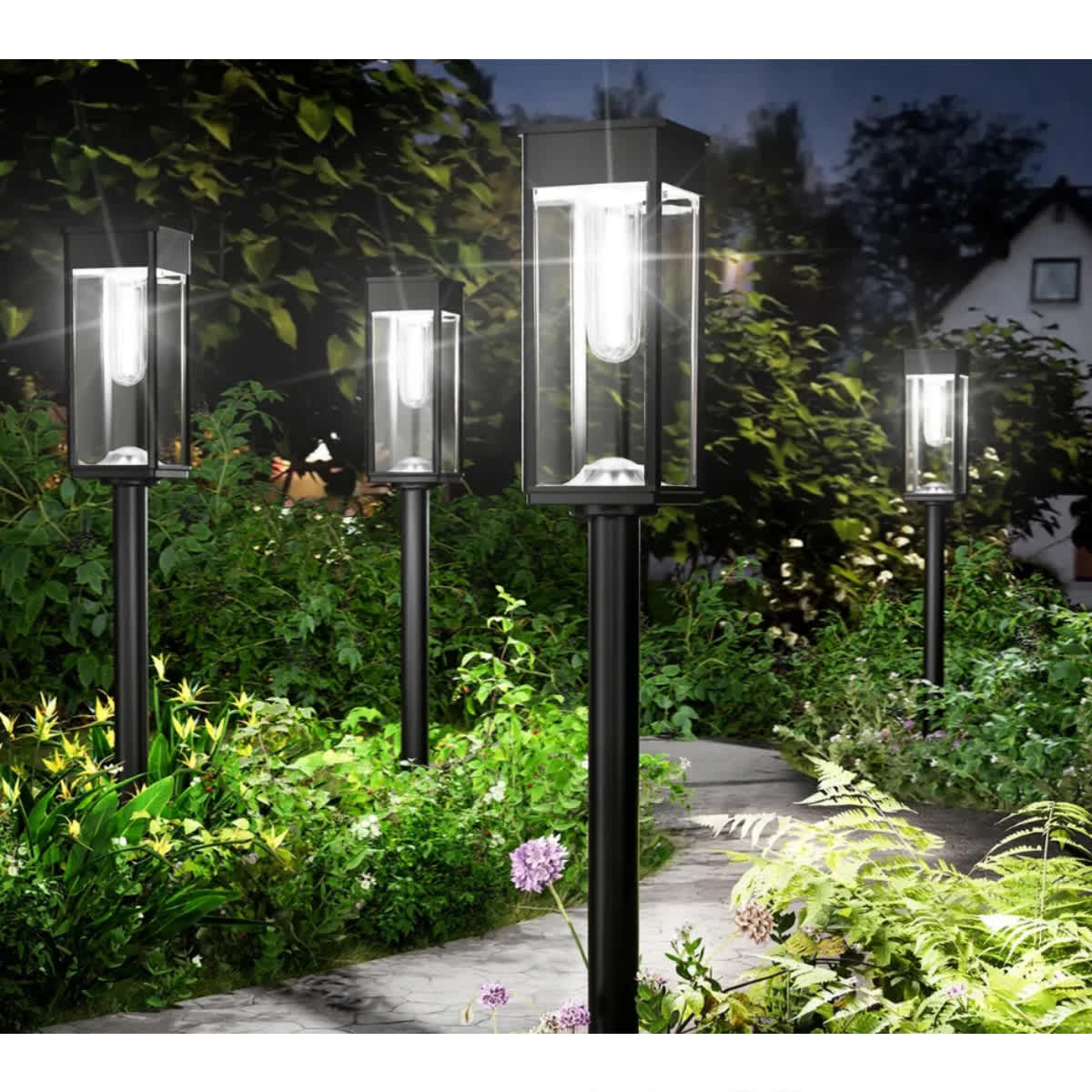 White Light-