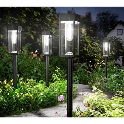 White Light-