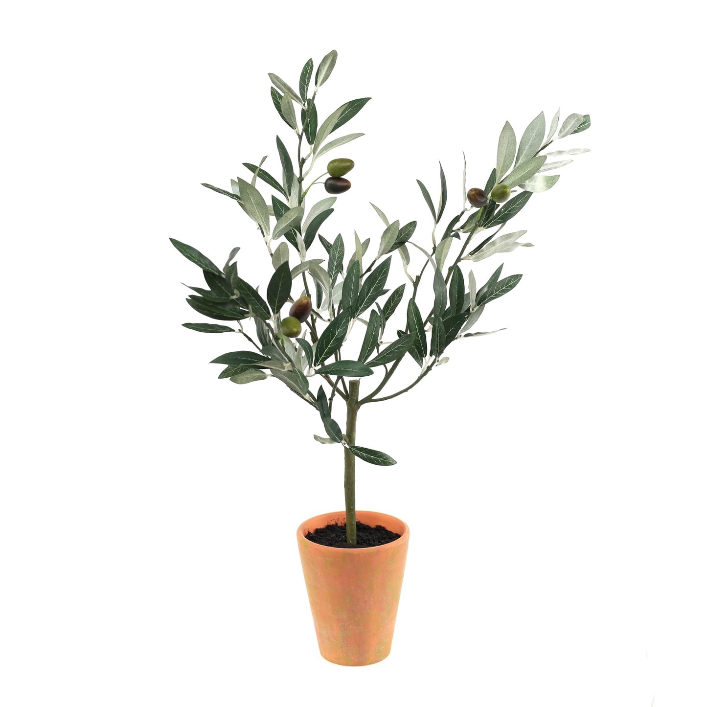 Melrose International Potted Olive Tree Topiary 22"H