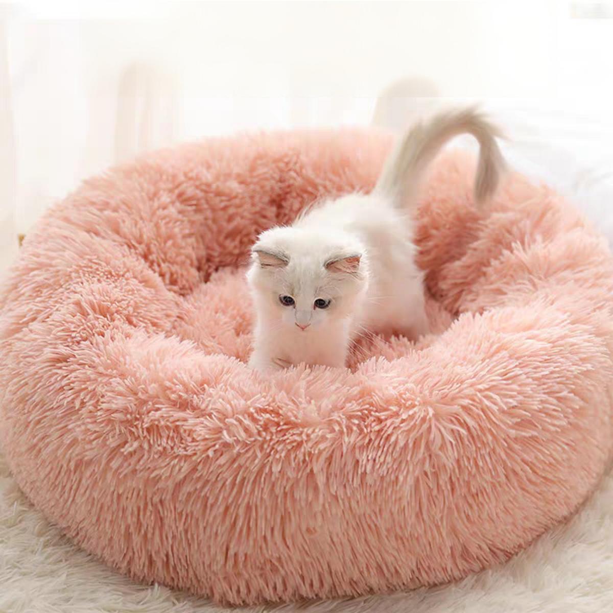 Pink-