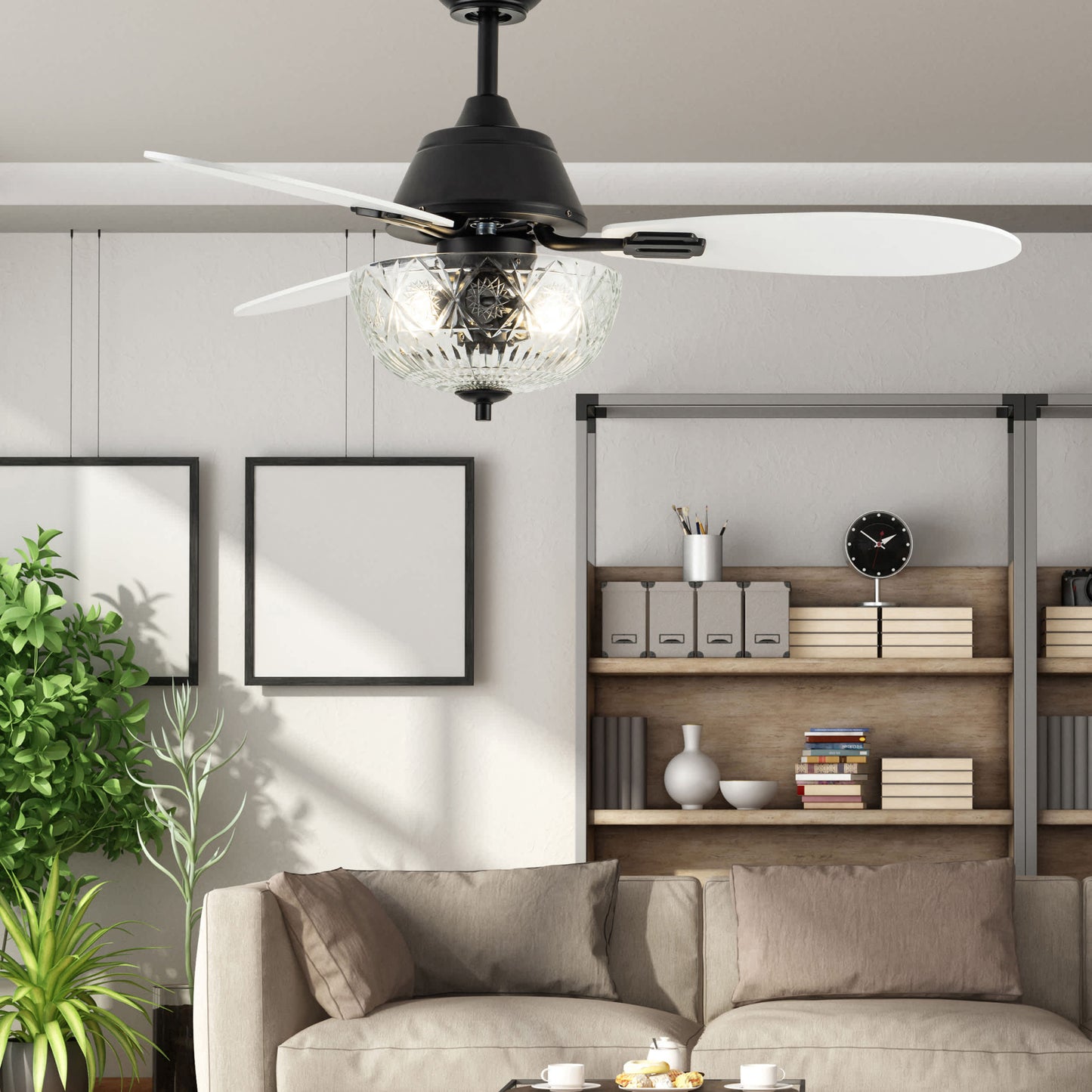 Clear/Black-