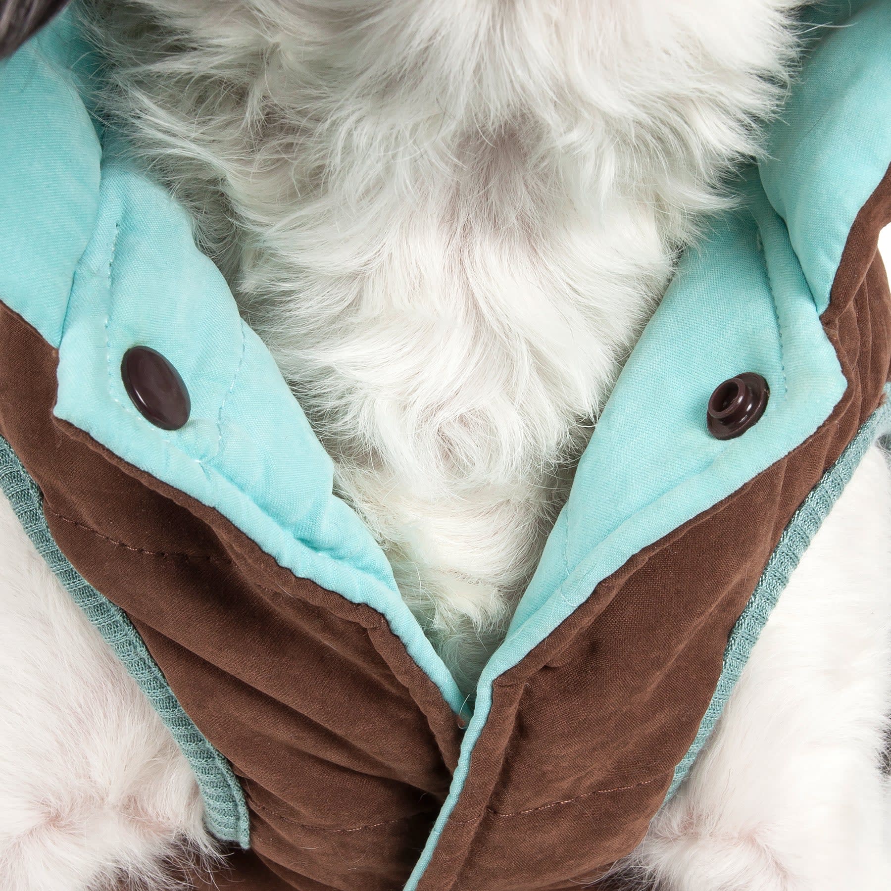 Blue / Brown-