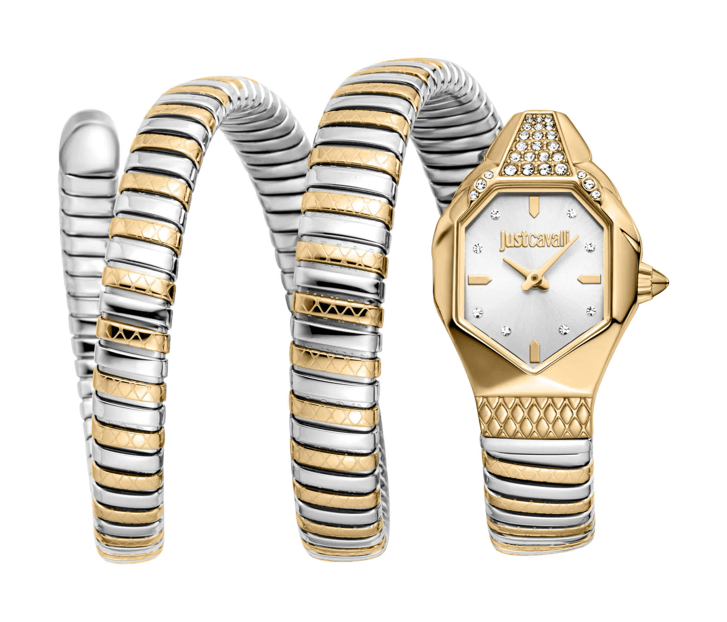 Just CAVALLI Women Watch, Two Tone Silver & Gold Color Case, Silver Dial, Two Tone Silver & Gold Color Metal Bracelet, 2 Hands, 3 Atm