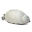 Happy Seal Plush