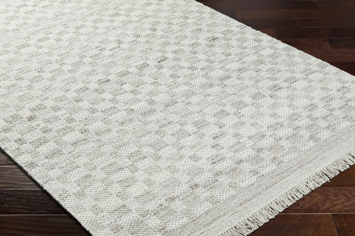 Meira Medium Gray Area Rug