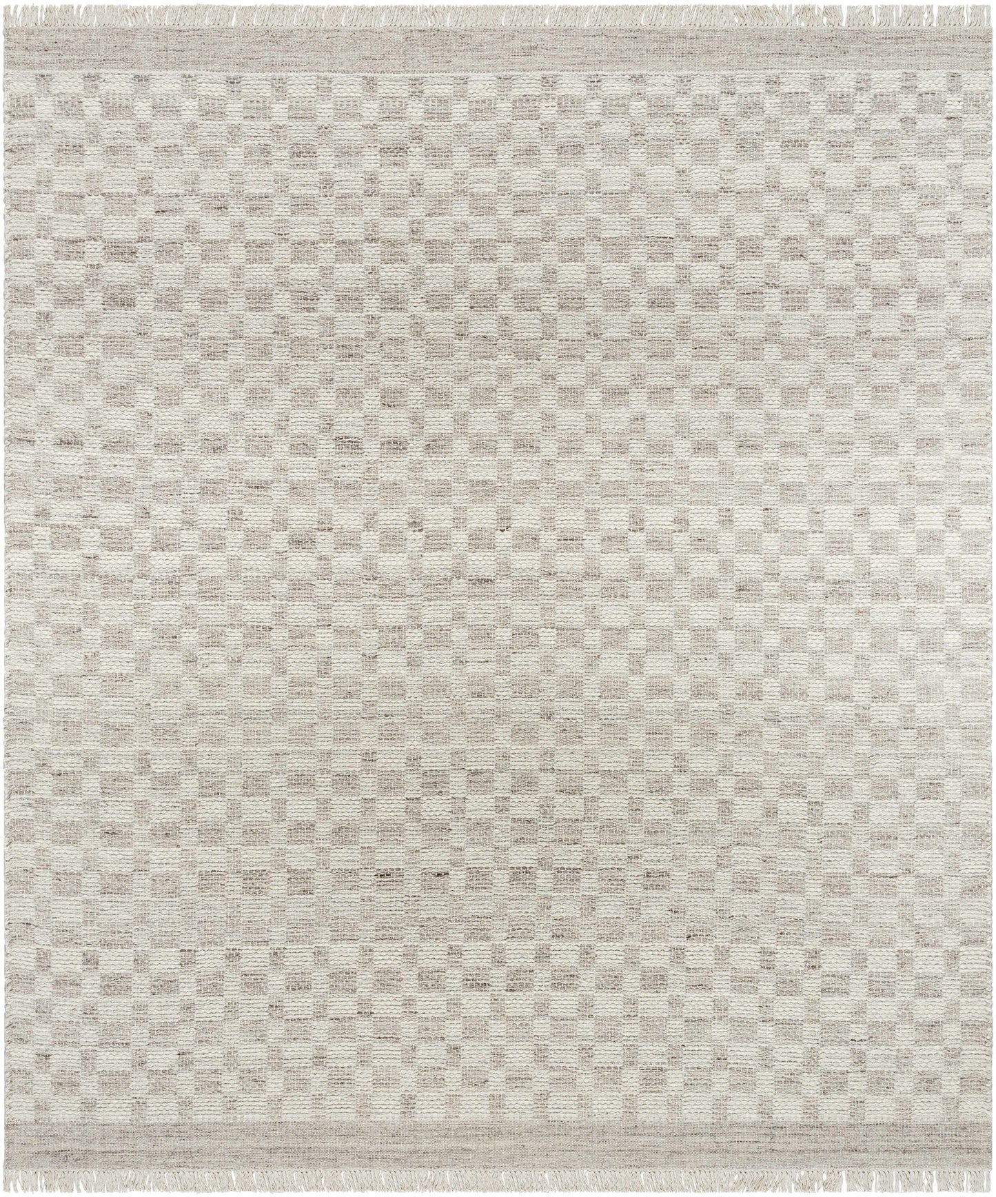 Meira Medium Gray Area Rug