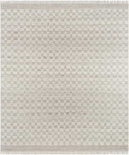 Meira Medium Gray Area Rug