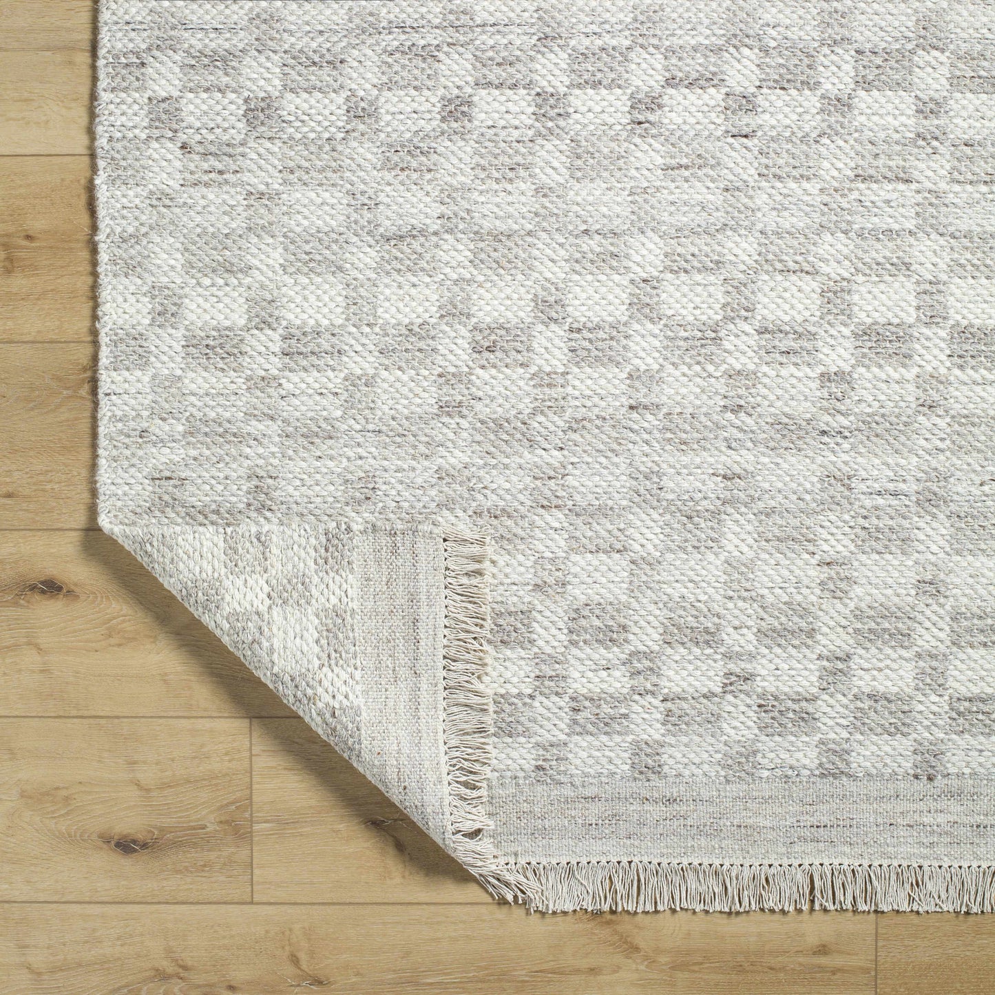 Meira Medium Gray Area Rug