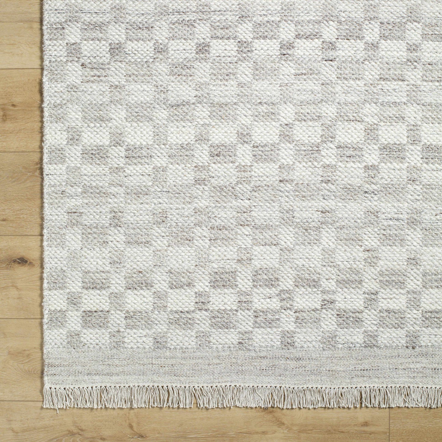 Meira Medium Gray Area Rug