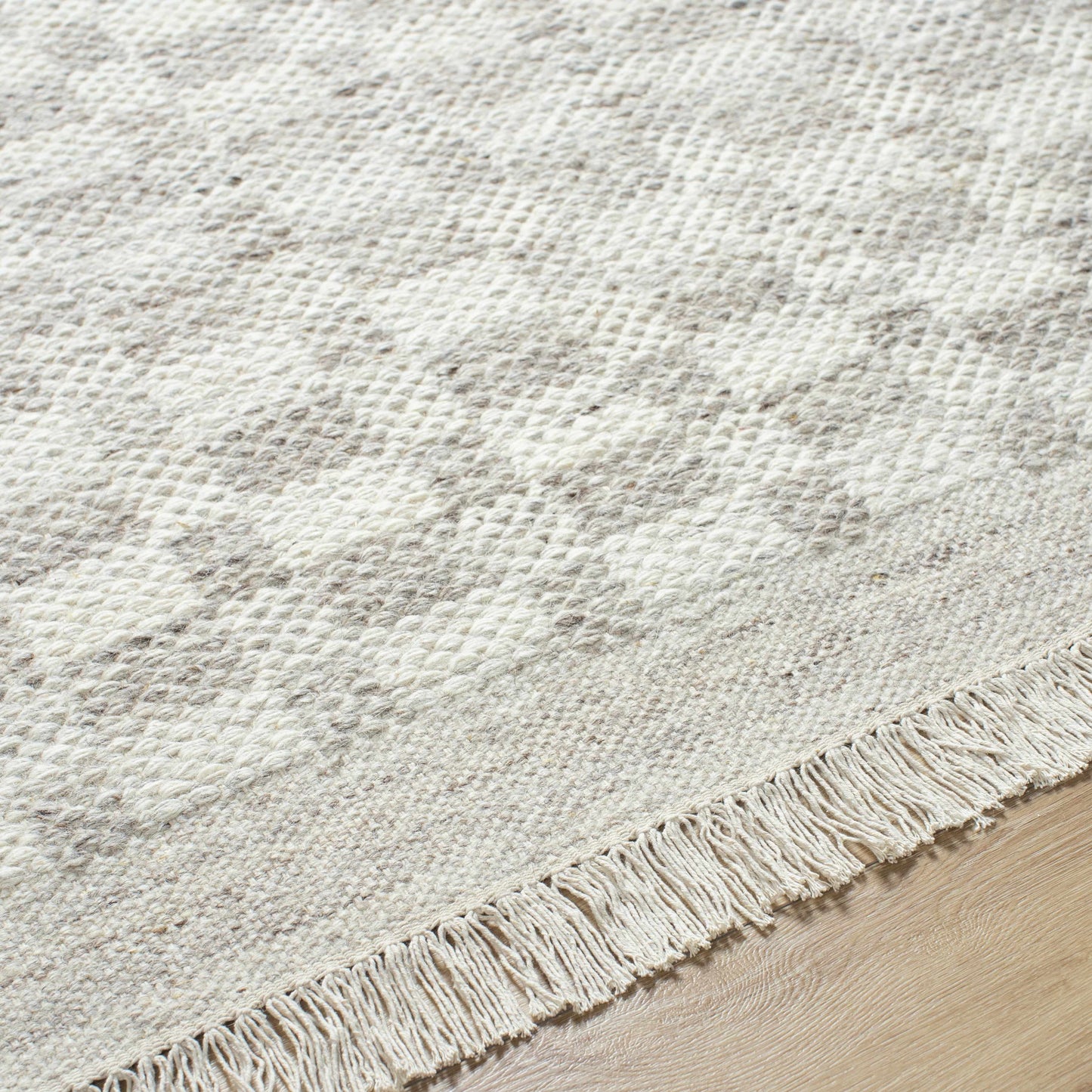 Meira Medium Gray Area Rug