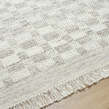 Meira Medium Gray Area Rug