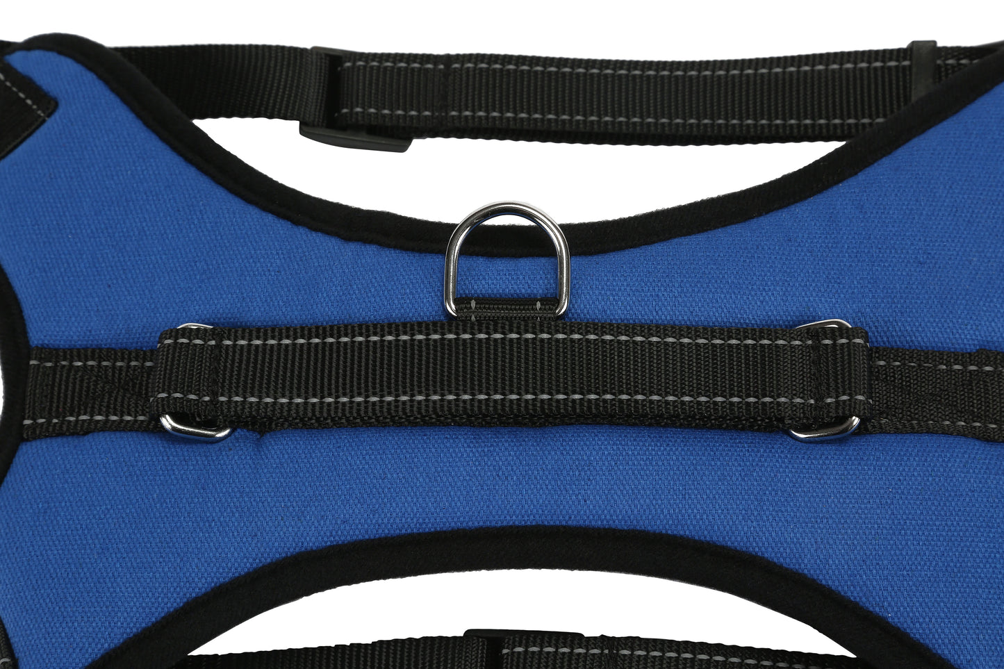 Blue-