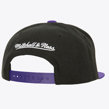 Mitchell & Ness Men's NBA Circle Splash Snapback Hwc Raptors Snapback Caps