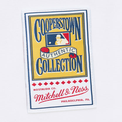 Mitchell & Ness Men's MLB Alternate Jersey Braves 2004 Chipper Jones Jerseys