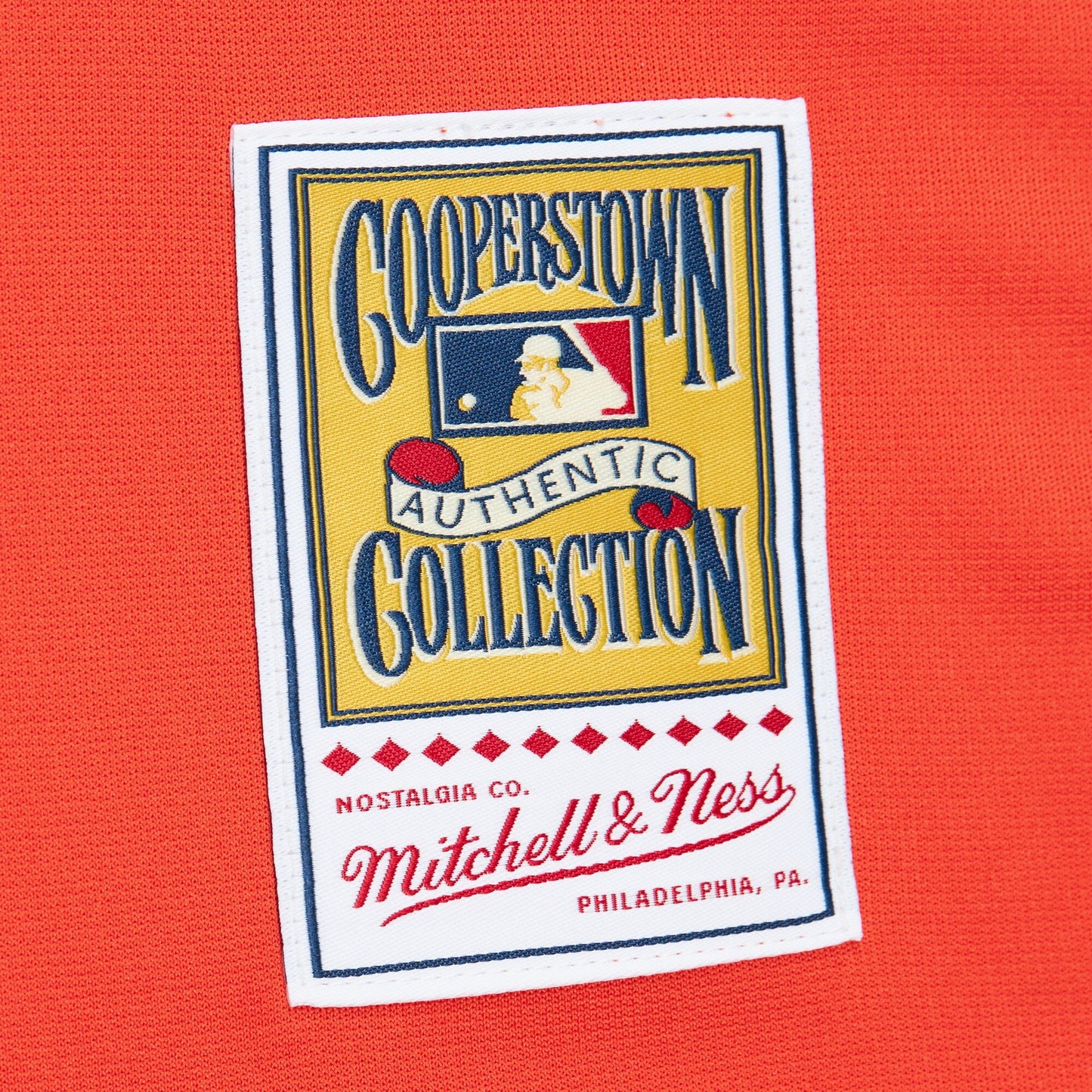 Mitchell & Ness Men's MLB Alternate Jersey Astros 2004 Craig Biggio Jerseys