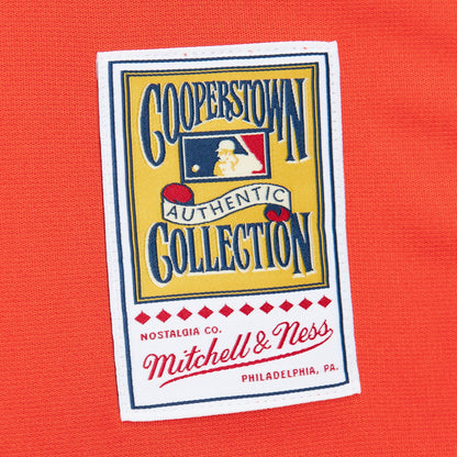 Mitchell & Ness Men's MLB Alternate Jersey Astros 2004 Craig Biggio Jerseys