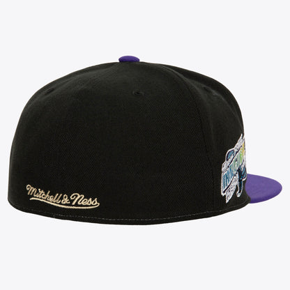 Mitchell & Ness Men's MLB Homefield Fitted Coop Rays Fitted Caps