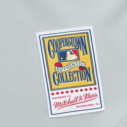 Mitchell & Ness Men's MLB Dark Jersey Phillies 1989 Darren Daulton