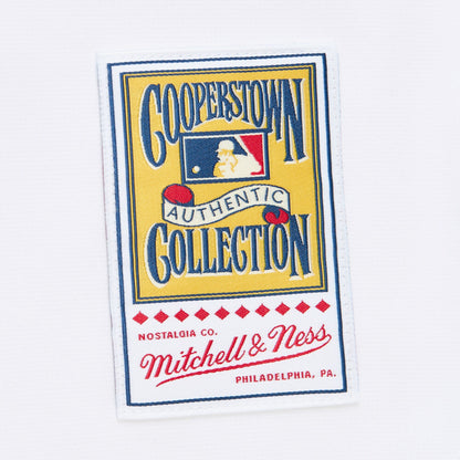 Mitchell & Ness Men's MLB Alternate Jersey Braves 2004 John Smoltz Jerseys