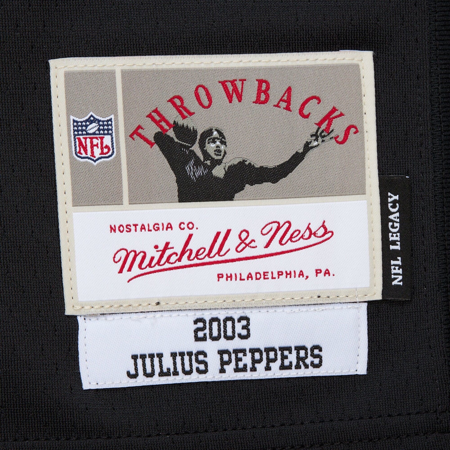 Men's Mitchell & Ness NFL Dark Jersey Panthers 2003 Julius Peppers
