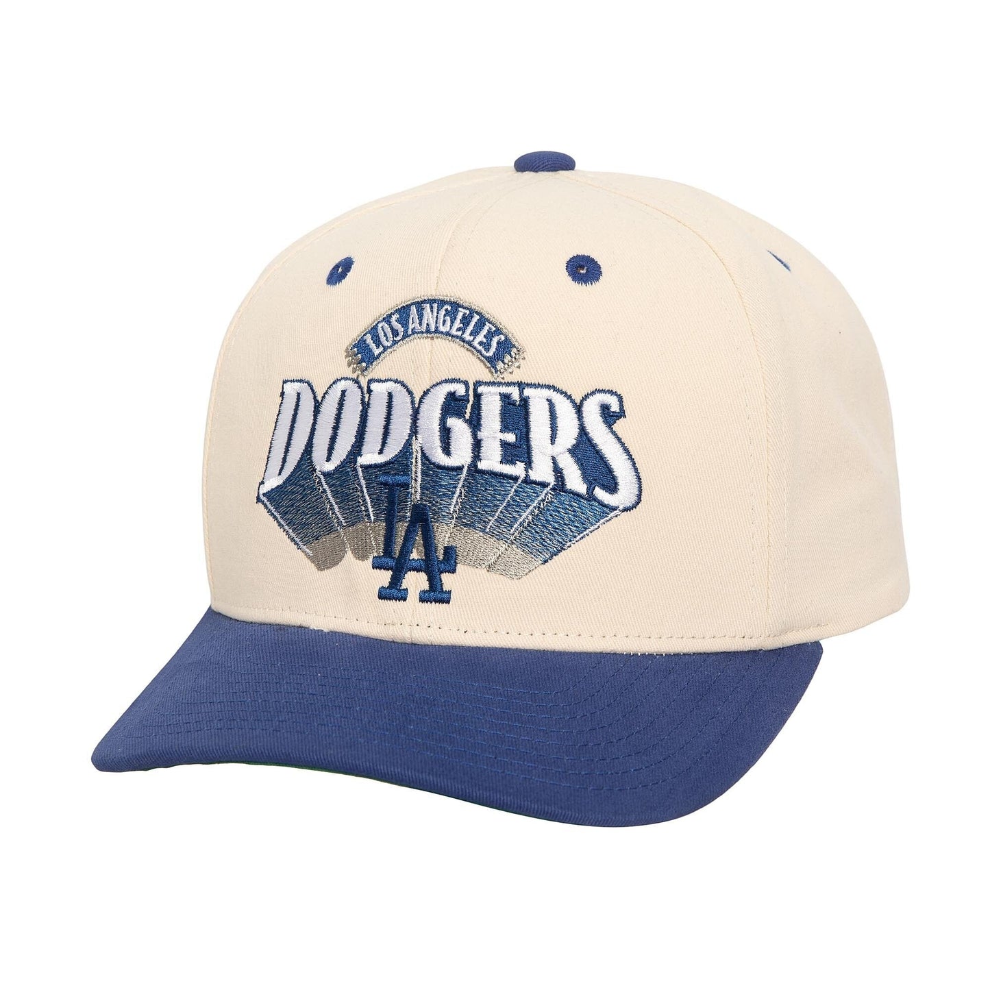 Mitchell & Ness Men's MLB Horizon Pro Snapback Dodgers